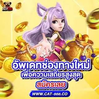 CAT888 - Promotion